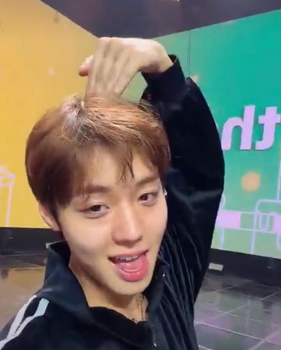 햅삐 ◡̈ tweet media