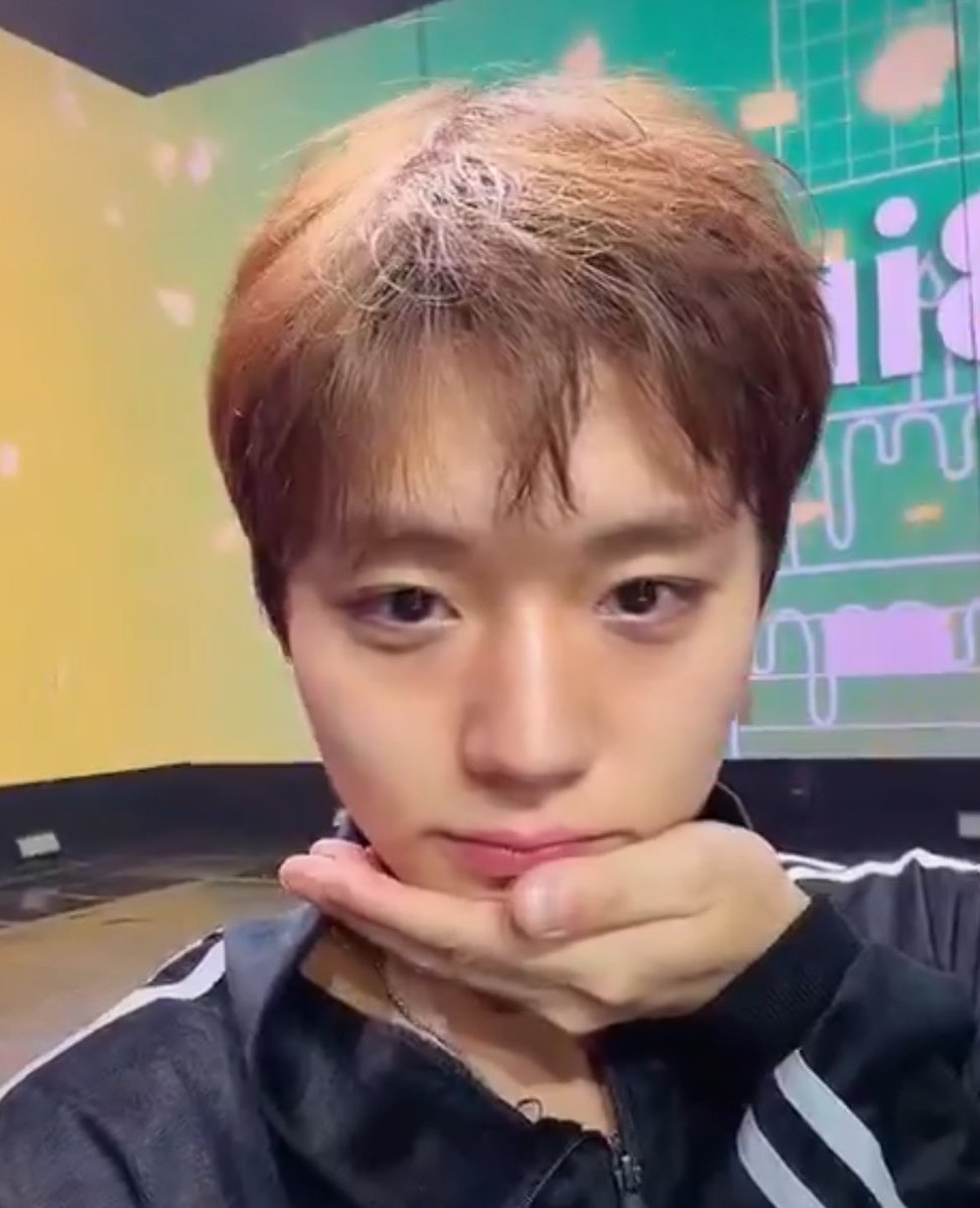 햅삐 ◡̈ tweet media