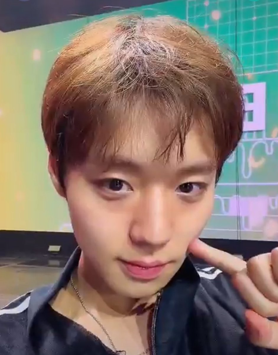 햅삐 ◡̈ tweet media