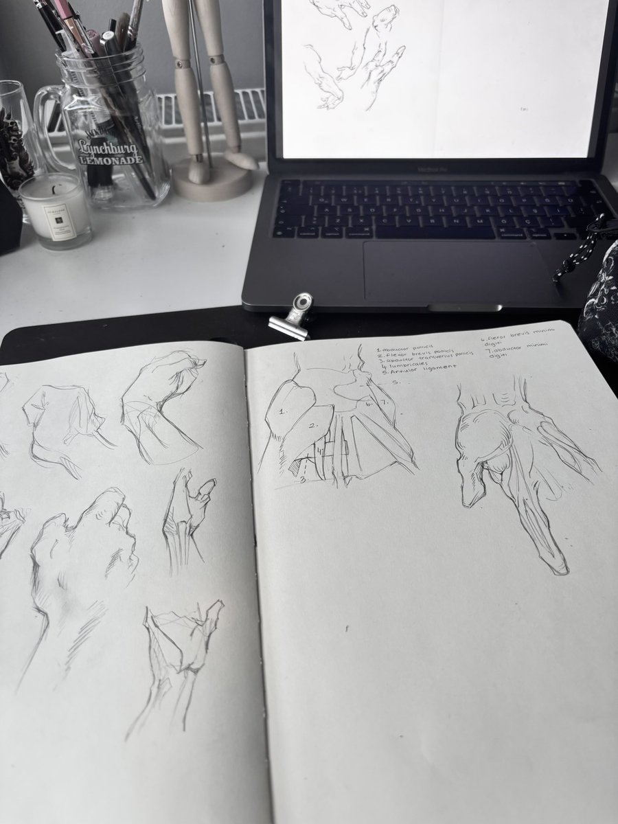 mapleriley0's tweet photo. bridgman’ın constructive anatomy kitabındaki bütün çizimleri kopyalıyorum gün 1 https://t.co/e8KSECq1yz