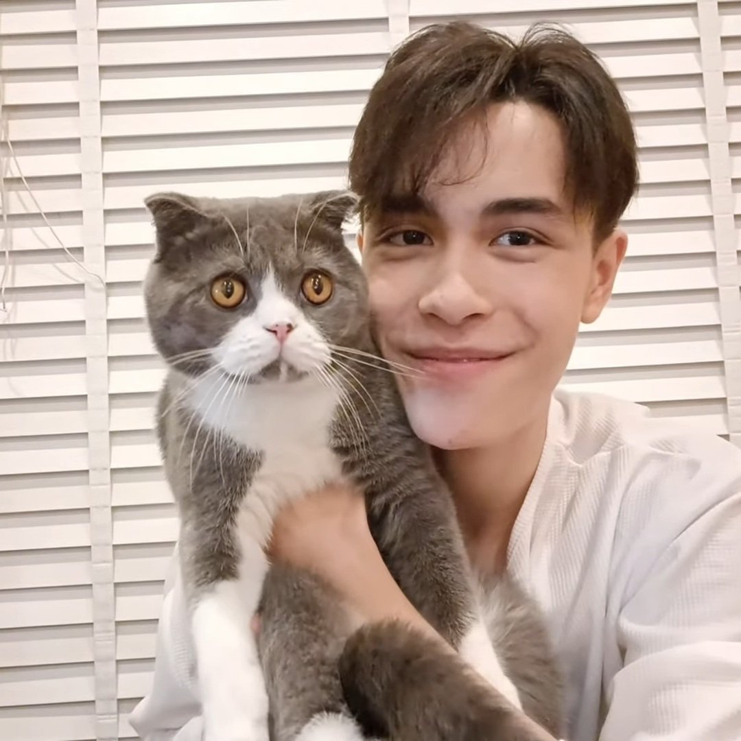 เผื่อน🎀💜 tweet media