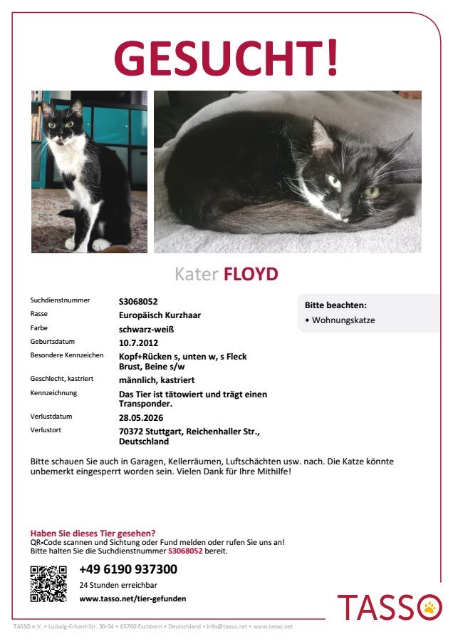 gruenspecht's tweet photo. #Kater #Stuttgart https://t.co/KYXbjn4SRN
