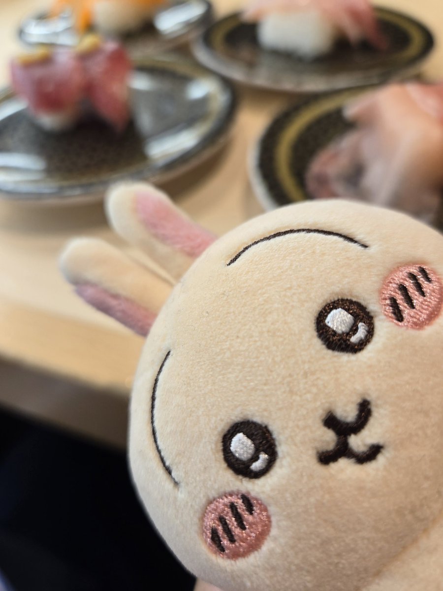 hatomansai's tweet photo. 先日撮ったいろんなぬい写。キぬは何かに向けて準備運動をしているようです🤗
よくいく某ゲーセン🎳に🪝設定たくさん搭載されててヒャッハーした。格段に取れるようになったぞありがとう https://t.co/guRq9EOAAd