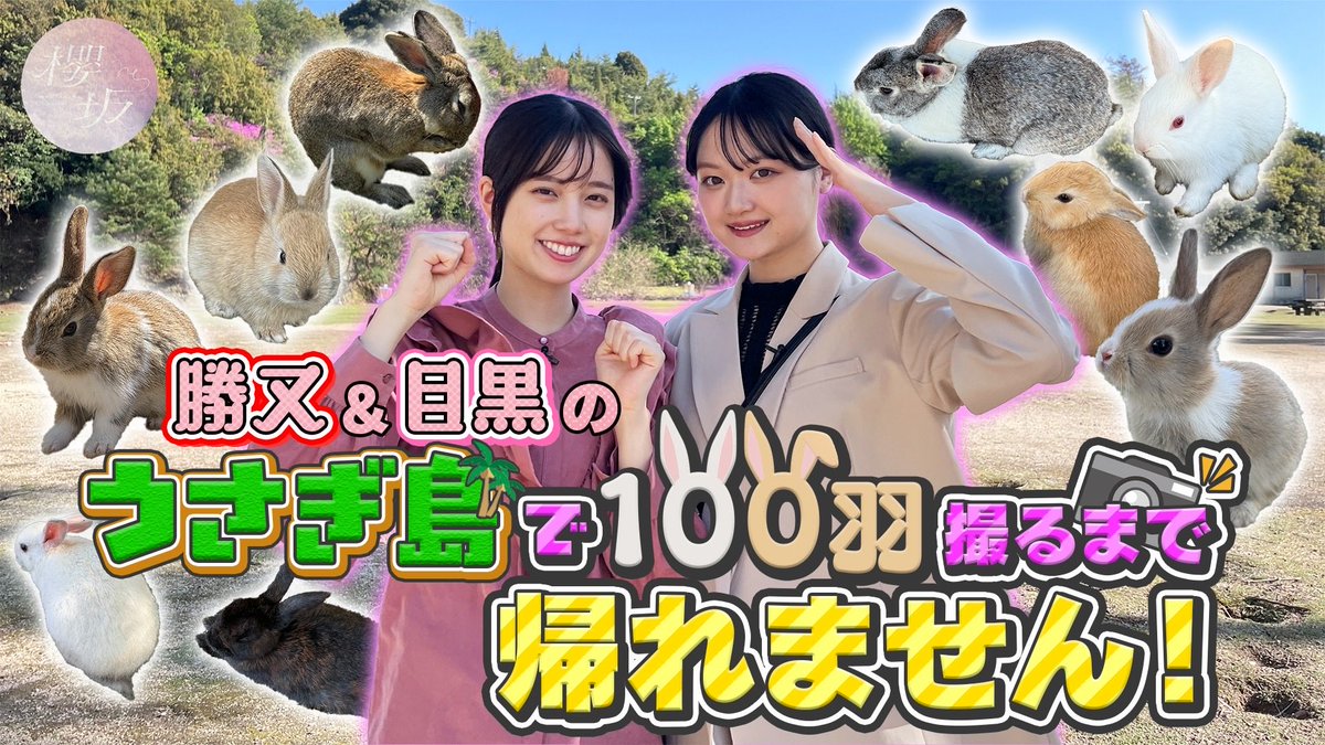 櫻坂46 tweet media