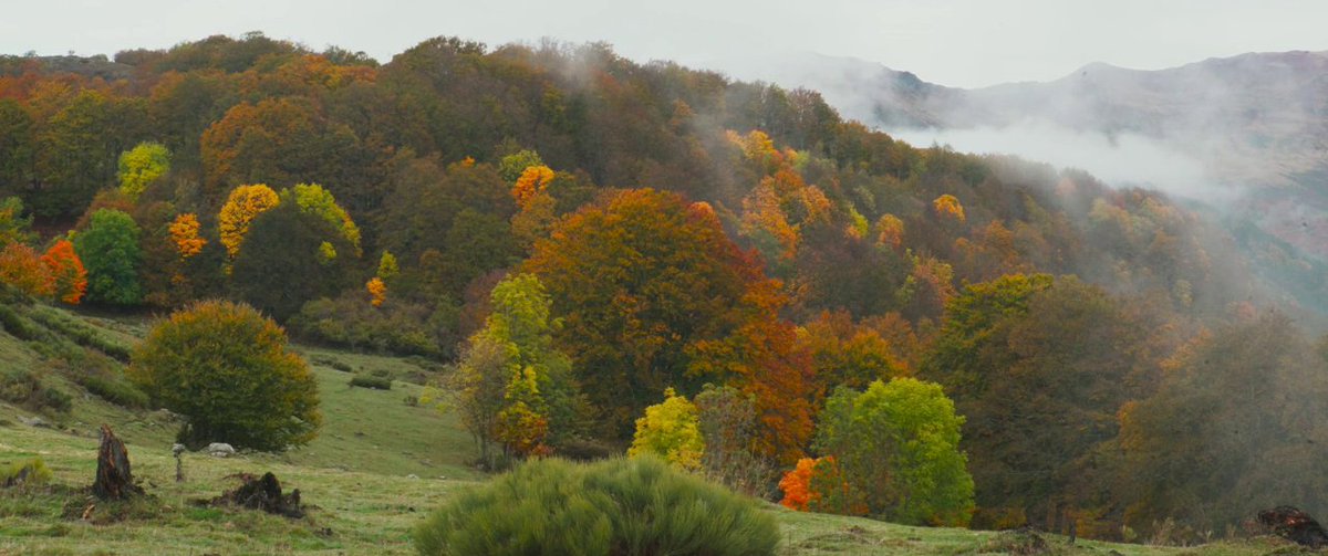 misty_mountain7's tweet photo. Délicieux
Director: Eric Besnard https://t.co/JK6Hrk0Opa