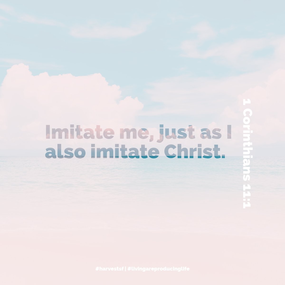 harvestsf's tweet photo. Live in a way that others can follow—not perfectly, but faithfully. Keep your eyes on Jesus, and let your life lead others to Him.
#harvestsf #liveareproducinglife #FollowChrist #BeTheExample #FaithInAction #Discipleship #WalkLikeJesus https://t.co/Elmr0MGkp8