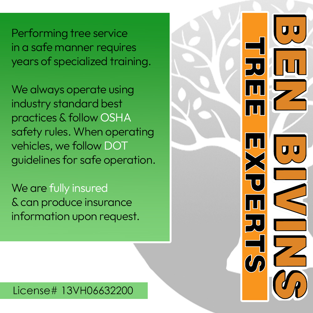BivinsTree's tweet photo. We follow industry standard best practices, operate with care, and bring years of specialized experience to the work we do.

https://t.co/Wb8P8U6suC

#TreeService #TreeCare #TreeSafety #LicensedAndInsured #NJTreeService #SmithvilleNJ #OceanCountyNJ #TreeRemoval #TreeExperts https://t.co/3WJFCeKqE6