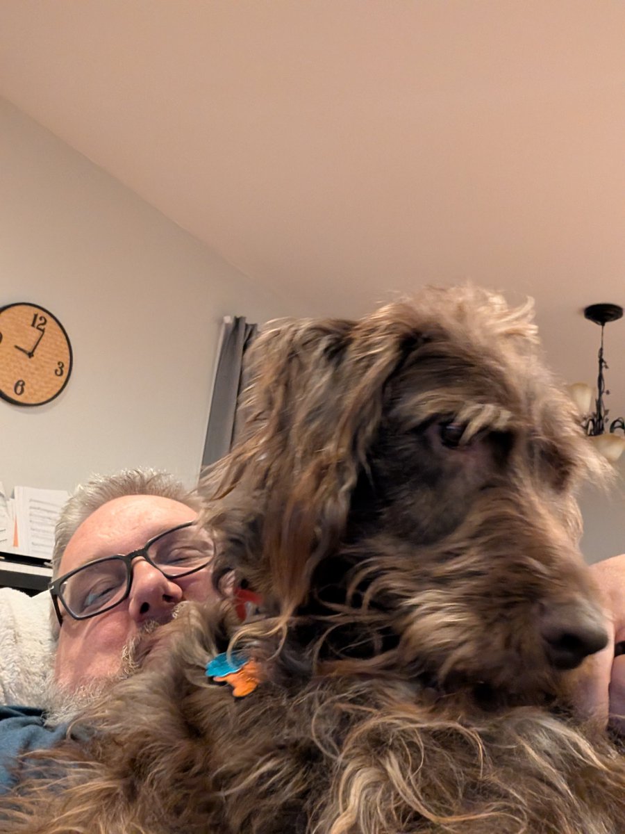 CheeseyComics's tweet photo. Cody felt the need to snuggle https://t.co/lKbHz4JBaw