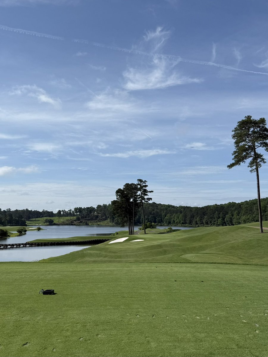 gomergolfs's tweet photo. Friday dew sweep https://t.co/mxDXx8E0mj