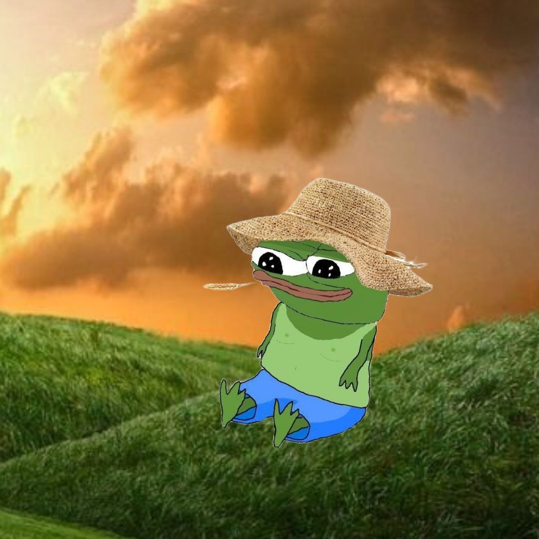 Apu Apustaja tweet media