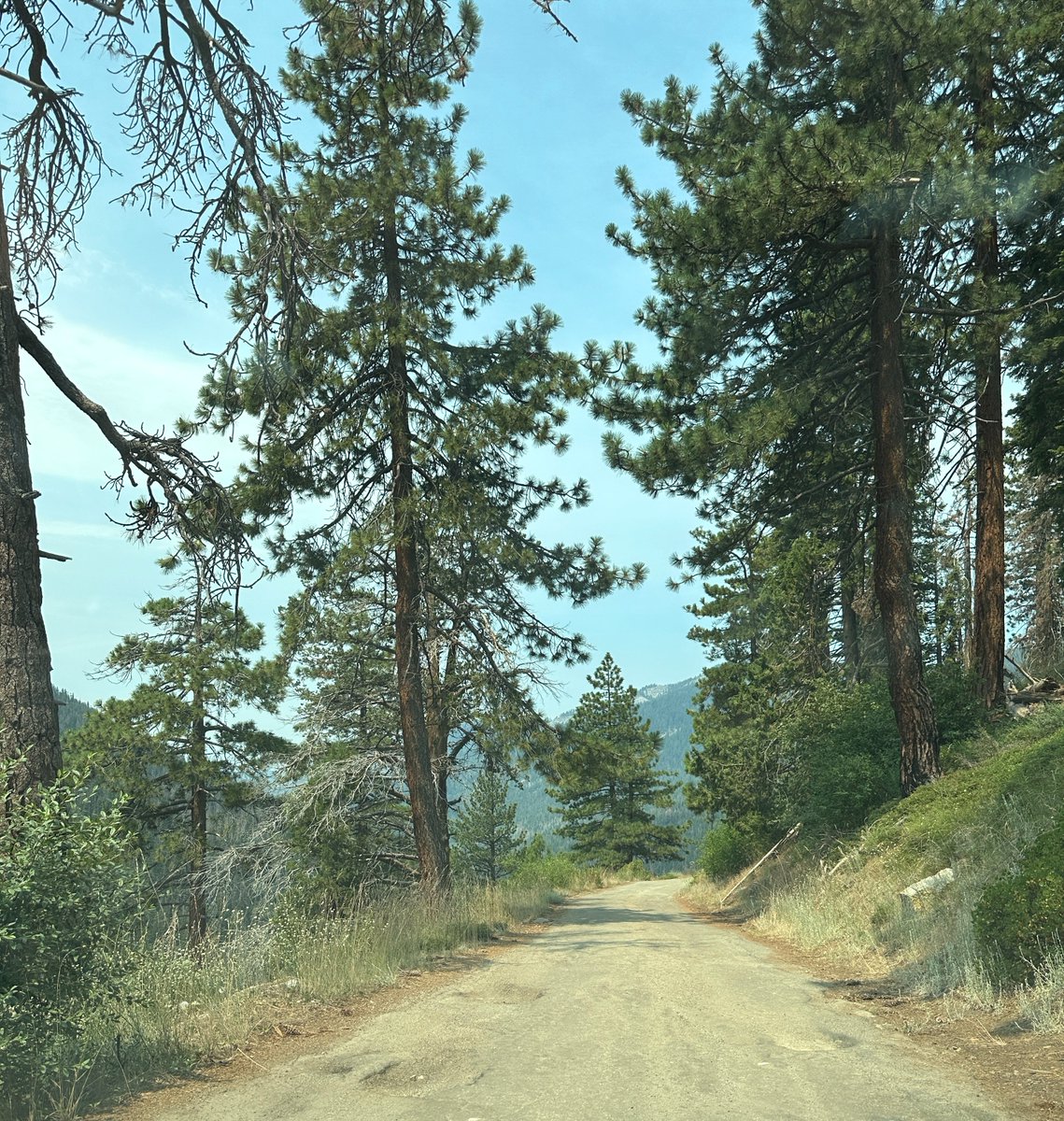 Mineral King Cabins 🏕 tweet media