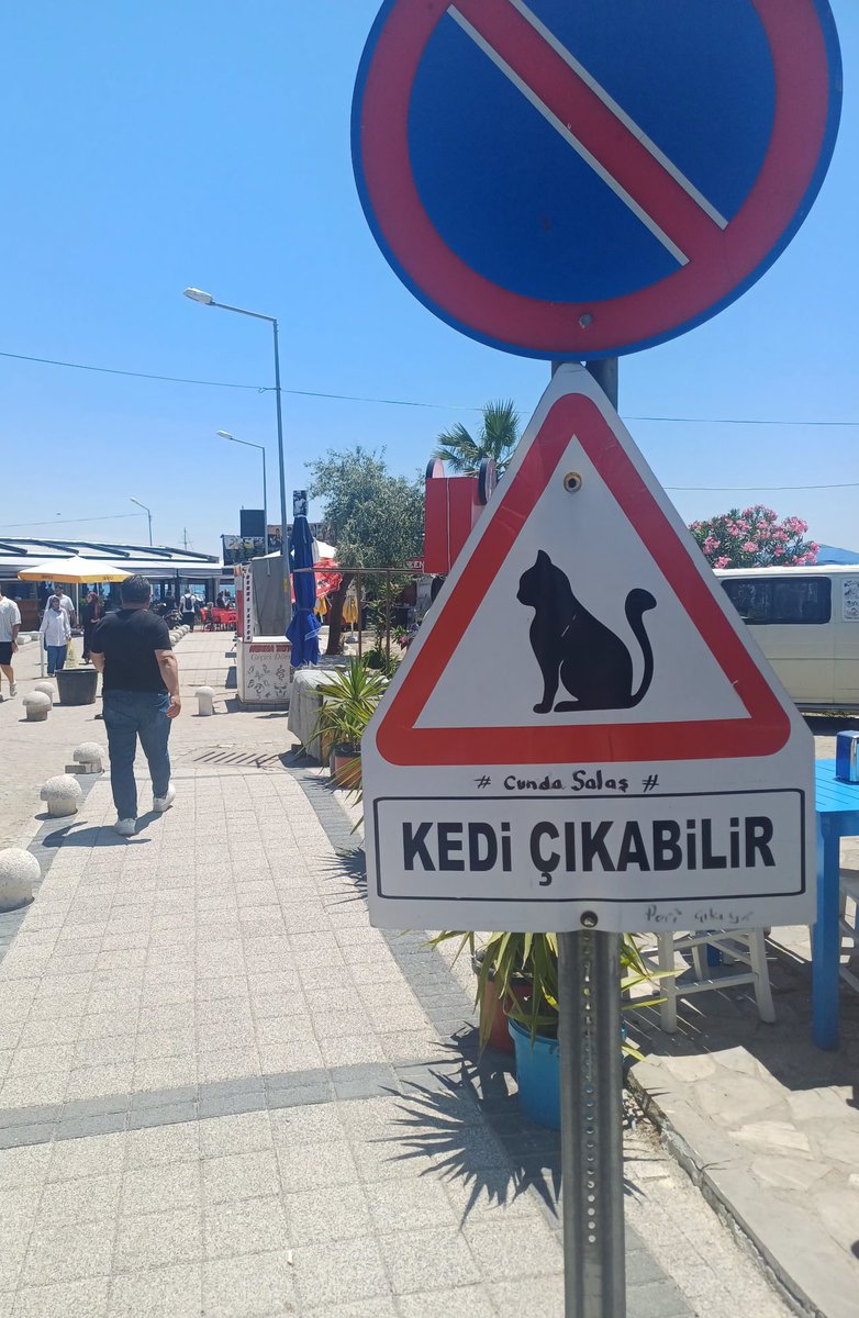 S̴İ̴R̴İ̴U̴S̴⁷🌑 🇹🇷 tweet media