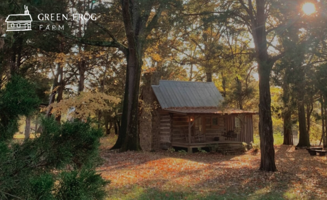 itscabintime's tweet photo. Experience Green Frog Farm in Bells, TN—a living slice of West Tennessee pioneer history! Stay in a century-old cabin, wander rustic barns &amp; scenic grounds, and enjoy seasonal traditions. Book direct 👋 https://t.co/47y0KY4WC2 #ItsCabinTime #GreenFrogFarm #BellsTN #BookDirect https://t.co/56ypWEa08C