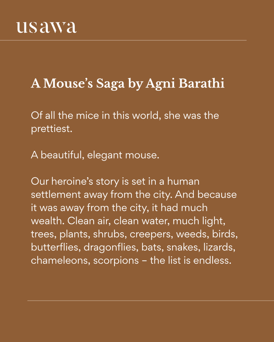 usawamag's tweet photo. You may never look at a rogue mouse the same way again.

A Mouse's Saga by @ABHaiku turns the ordinary domestic world into a battlefield of survival, myth, and absurdity.

Read it in Issue 14: Witness.

#ShortStory #LiteraryFiction #IndianLiterature #Fiction #EcologicalSatire https://t.co/b87UbjrXfl