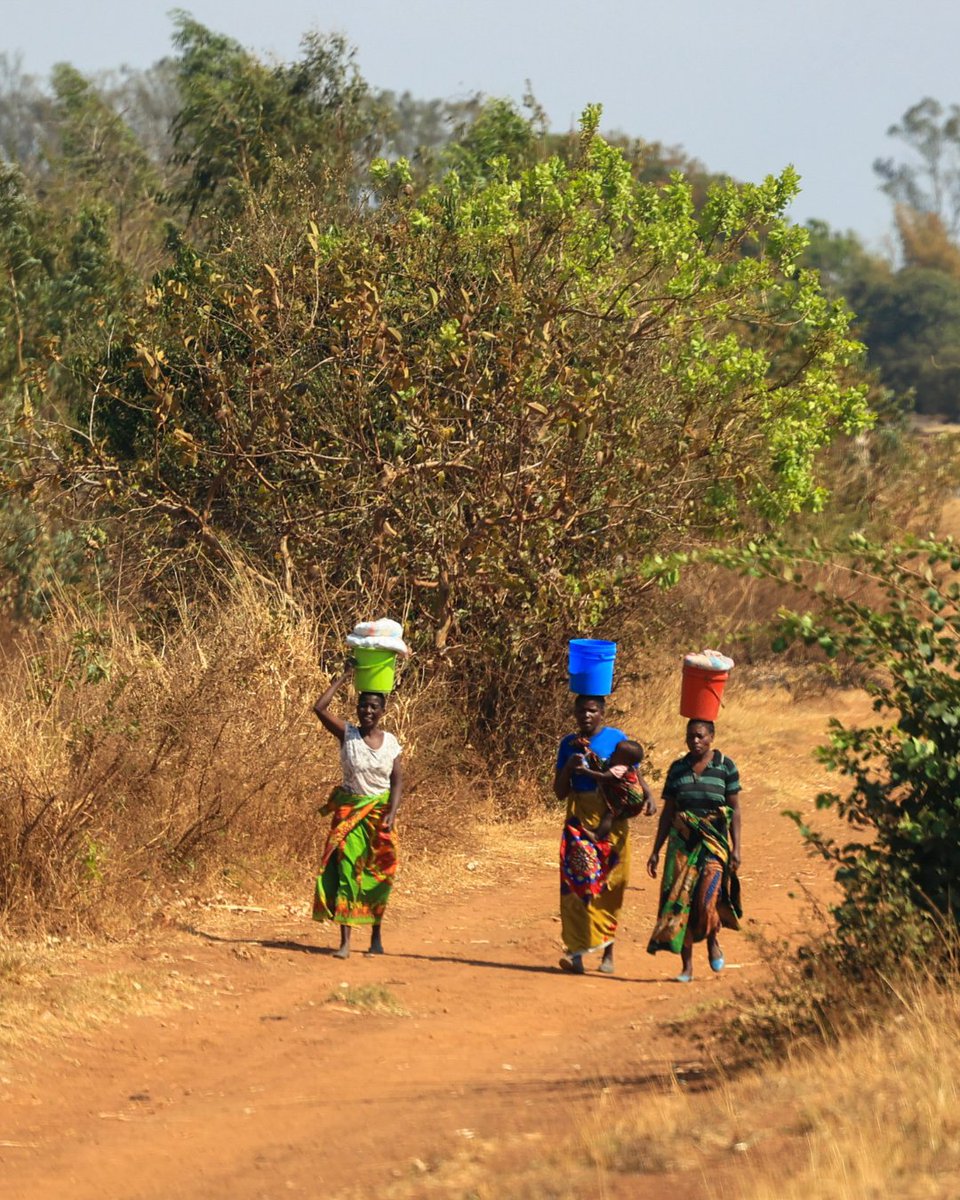 WattsofLove's tweet photo. Did you know? Nearly 1 in 10 people worldwide still live without access to electricity—limiting opportunities for work, education, &amp; safety after dark.
Our solar lights &amp; training helps change that—unlocking income, extending study hours, and creating safer nights for families. https://t.co/2YCWFP2wib
