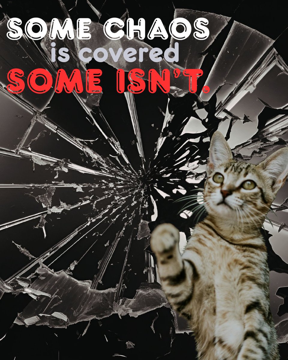 StaleyInsure's tweet photo. Your cat knocking over a TV? Not covered. Your cat knocking over a guest? Covered. 😼
Insurance can be funny like that. If you ever want to understand how yours works, we are happy to walk you through it. (540) 885-8858 https://t.co/GH5QGgVChH