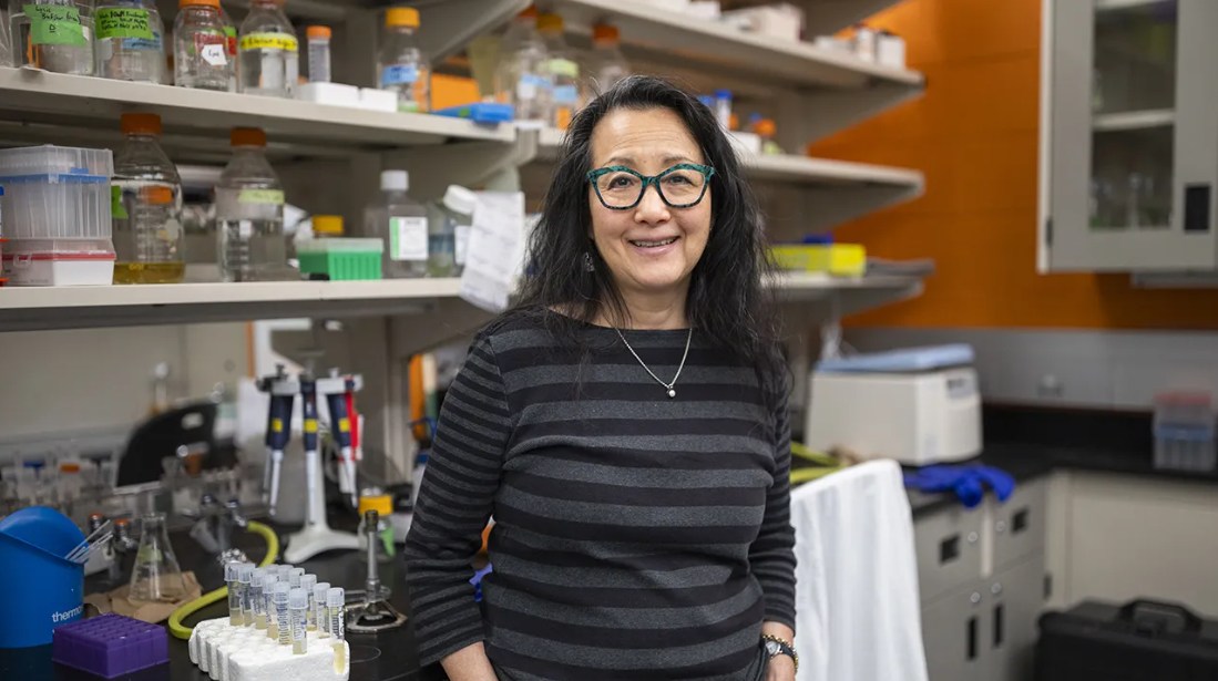 UTM's tweet photo. 'Frankenproteins' developed by UTM prof's team offer hope in fighting cancer 🔬 https://t.co/Nq0FnnQRQO https://t.co/U9YNwrkj8f