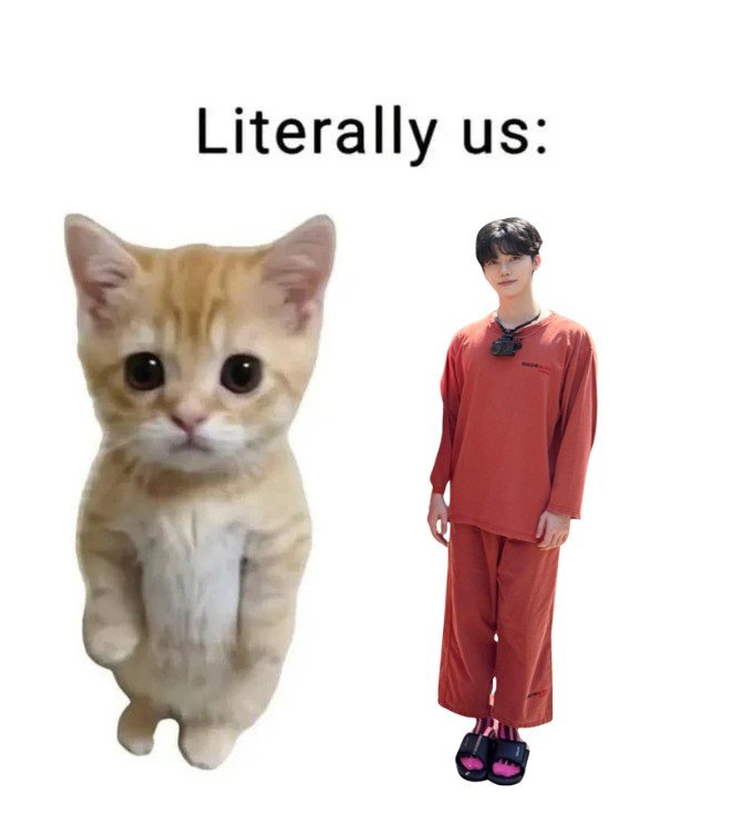 ݁ tweet media