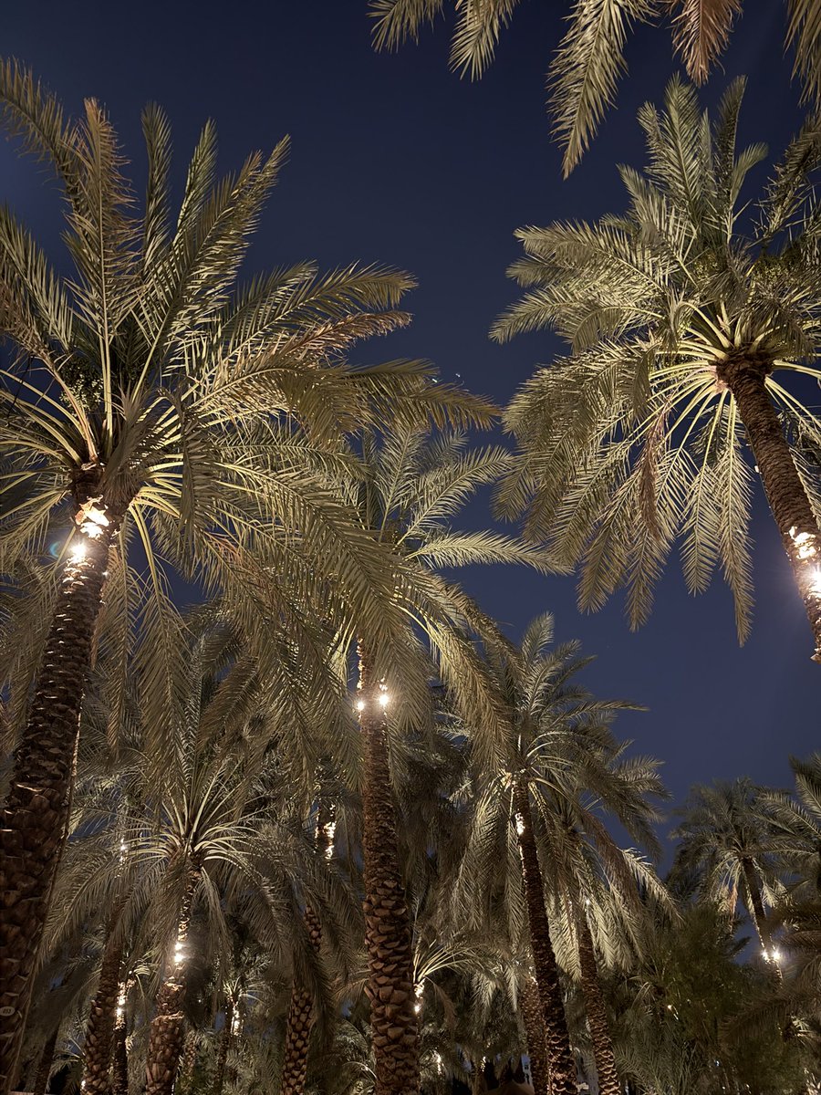 eyeazi's tweet photo. 🌴🌴 https://t.co/BtWw1f3KxH