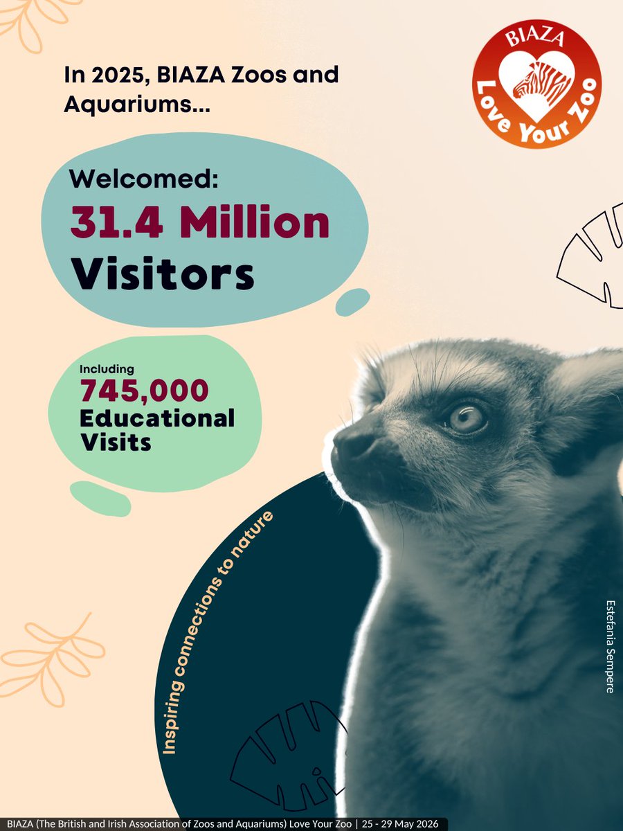 PaultonsPark's tweet photo. We’re proud to be among many, in a network of zoos and aquariums as members of BIAZA.
As #LoveYourZoo week draws to a close, we wanted to celebrate some of the incredible work that members achieved in 2025.
Together, teams at zoos and aquariums are not only passionate about caring for the animals they work with, but the ones facing challenges all around the globe 🌍