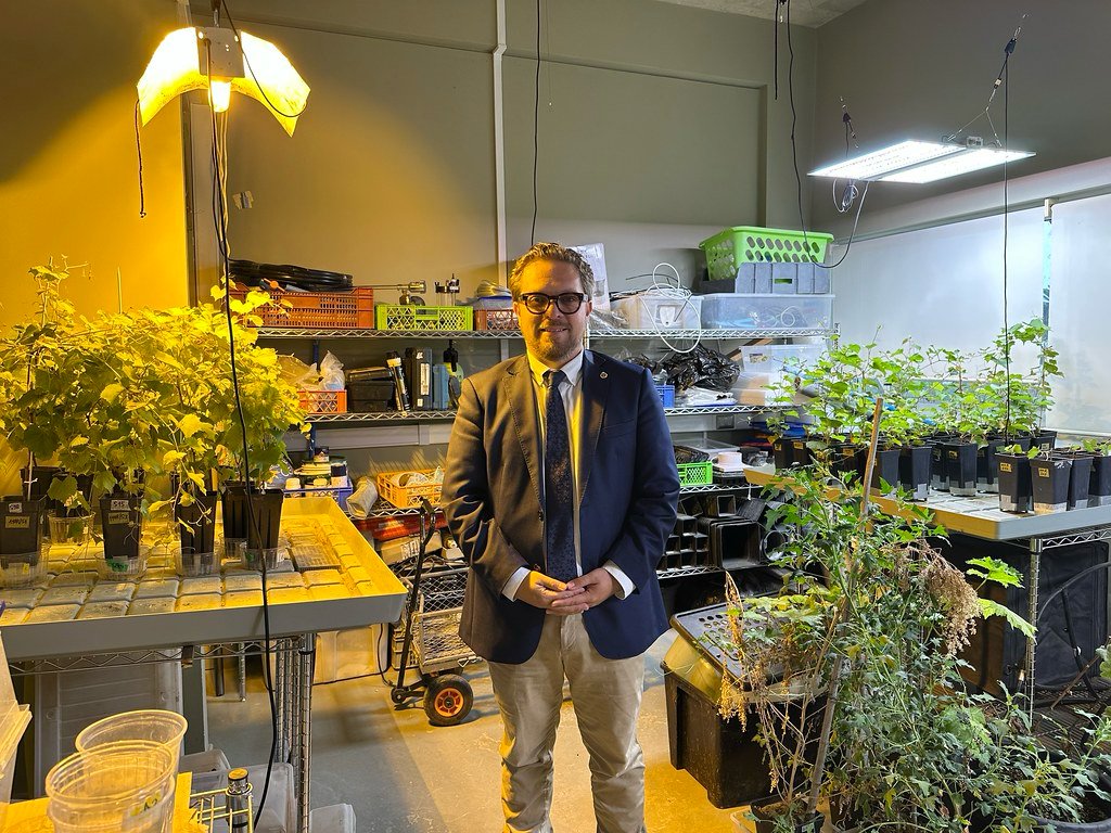 DocCsAAPUCV's tweet photo. 💧🌱 El Dr. Ítalo Cuneo investiga cómo se mueve el agua en las plantas durante sequías 🌾🔬, buscando identificar umbrales fisiológicos que permitan mejorar el manejo del riego en cultivos como vid, maíz y palto 🍇🥑

#DoctoradoPUCV #CambioClimático https://t.co/CAy62XzN4N