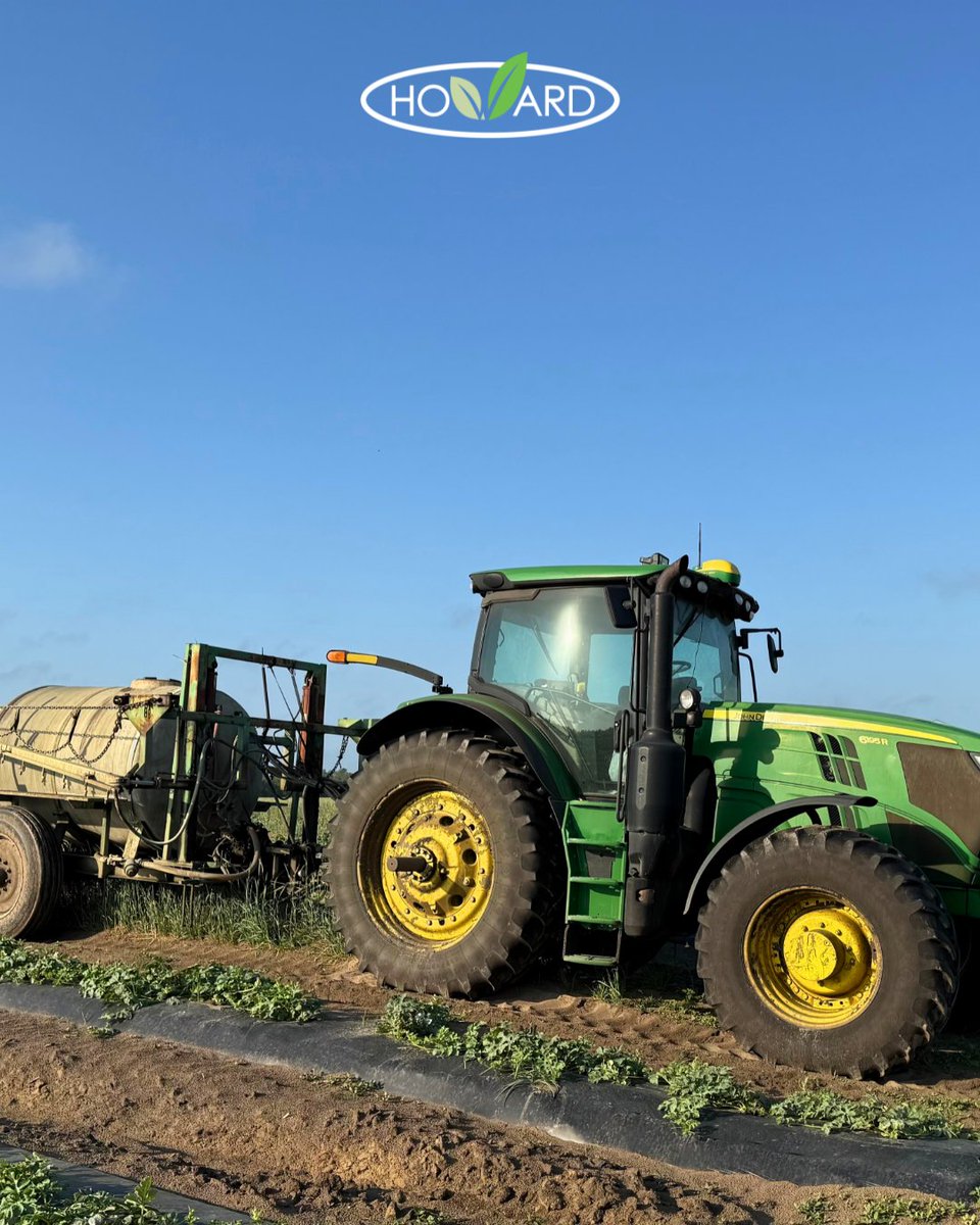HowardFert's tweet photo. Field Pic Friday 🌱

Farmers have been through a lot this season with the freezes earlier on and the dry conditions lately.
They’ve trusted us to help keep things on track and it’s good to see the results starting to show. https://t.co/4NhLJy9iAQ