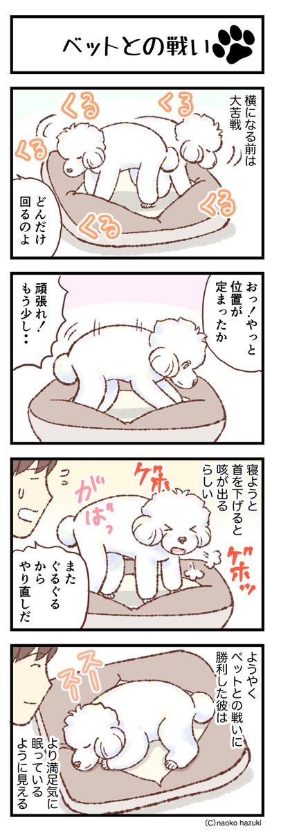 ransenosin's tweet photo. 段差【566】〜「トイプードルことりとゆかいななかまたち」             

https://t.co/kfvpRCBiBM

#トイプードル
#マンガの読めるハッシュタグ
#愛犬がいる幸せ
#アメブロ
#四コマ漫画 https://t.co/KdojvGrdKh