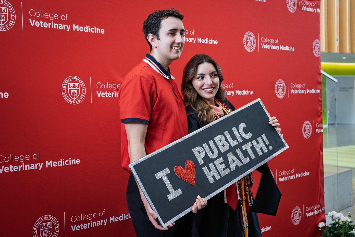 CornellMPH's tweet photo. Congratulations to the Cornell Public Health Class of 2026! 🎓🎉

We celebrate your dedication and passion for creating a healthier, more equitable world. We are incredibly proud of everything you’ve accomplished. Welcome to the alumni family! ❤️🐻 https://t.co/xwi47JKJ8E