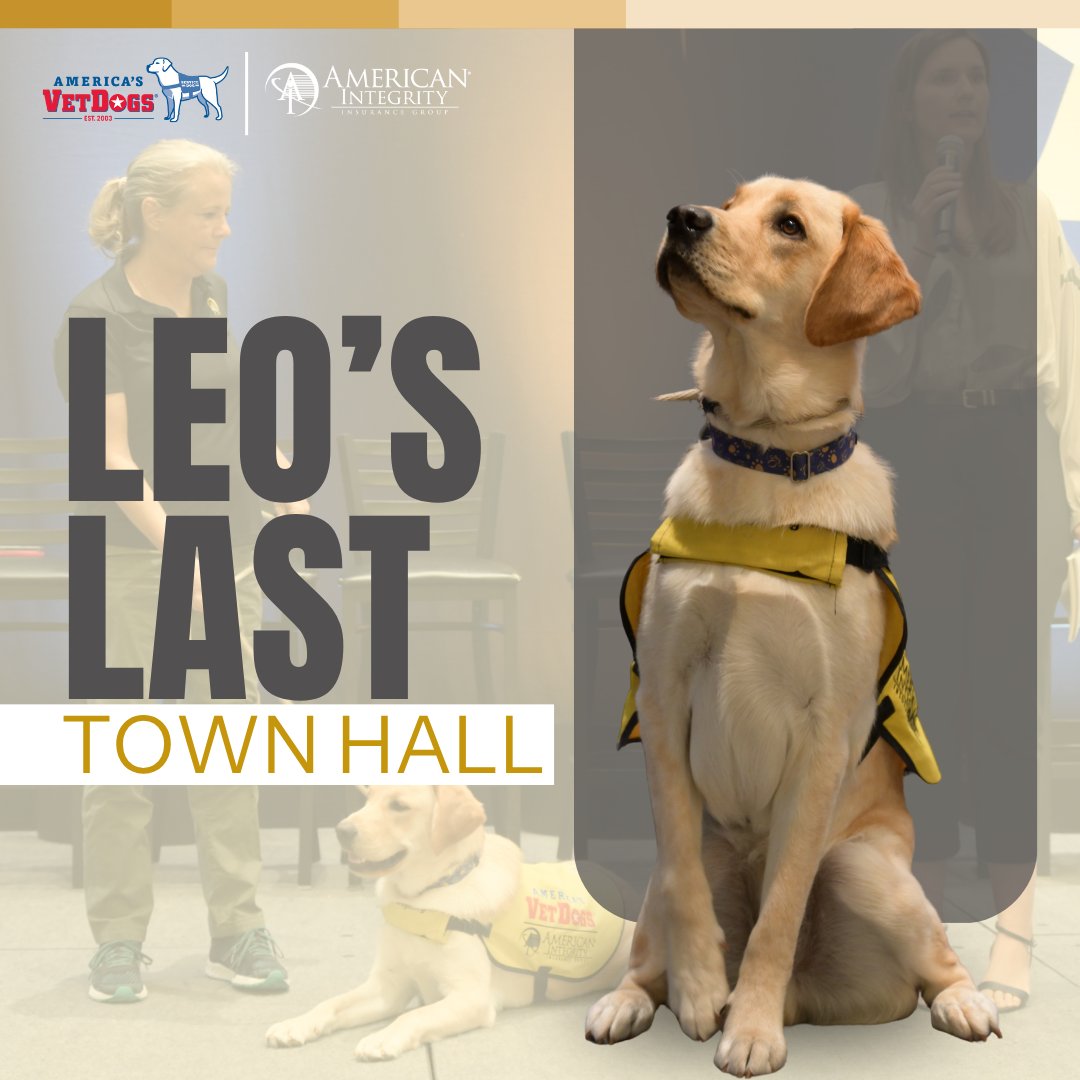 AmIntegrityIns's tweet photo. Over the past year, Leo has become a special part of the American Integrity family, bringing plenty of smiles to the office while representing an even greater purpose through our partnership with @AmericasVetDogs.

Most recently, Leo joined us at our Town Hall alongside his puppy trainer, Tana Mason Crosby, where he showed off some of the skills he has been working so hard to learn.

On June 21, Leo will move into the next phase of his training as he continues his journey toward being placed with a veteran, active-duty service member, or first responder. While we will miss seeing him around the office, we are incredibly proud knowing the next chapter of his story will be spent making a difference in someone else’s life.