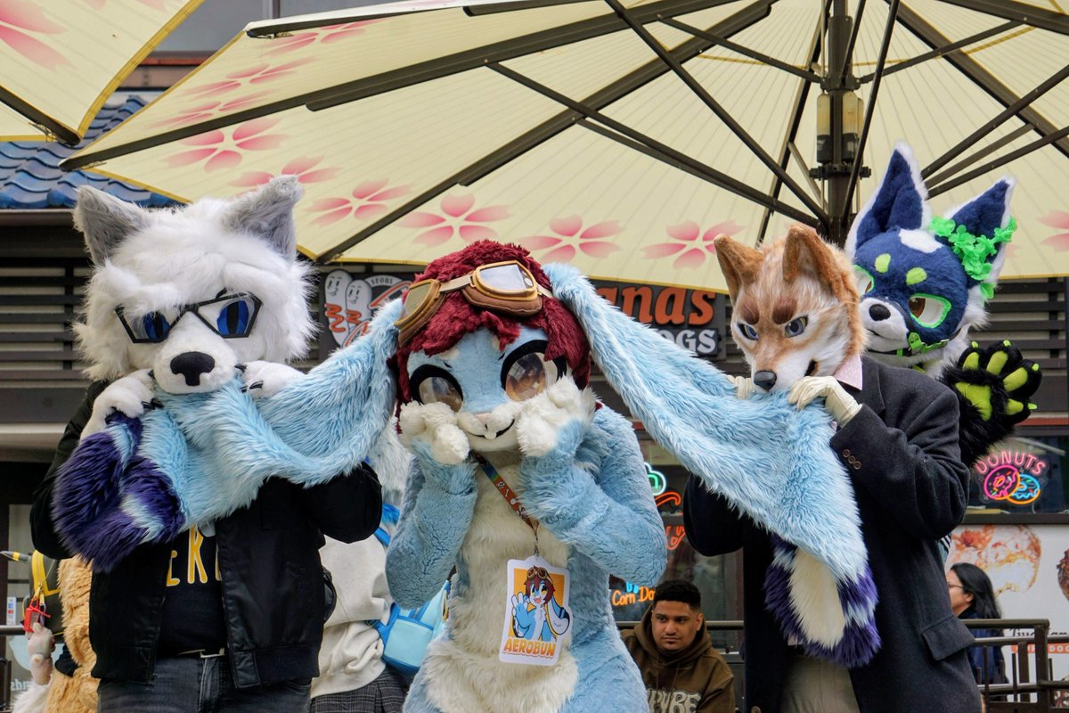 calikemo's tweet photo. We have a plathora of amazing photos from our last meet from some of our favorite photographers! Make sure to find them on our instas (via: @californiakemonos)! Note: We are also working on a furtrack!! https://t.co/kaAbTfi8lU