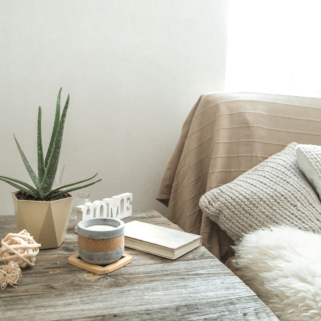 Wingate2015's tweet photo. House plants are a decor game changer. Whether it’s a hanging plant by the window, a leafy friend on your nightstand, or a tiny succulent on your dresser—a touch of greenery makes everything feel fresher and more peaceful.🪴🏡 https://t.co/3KN5iLSrxB