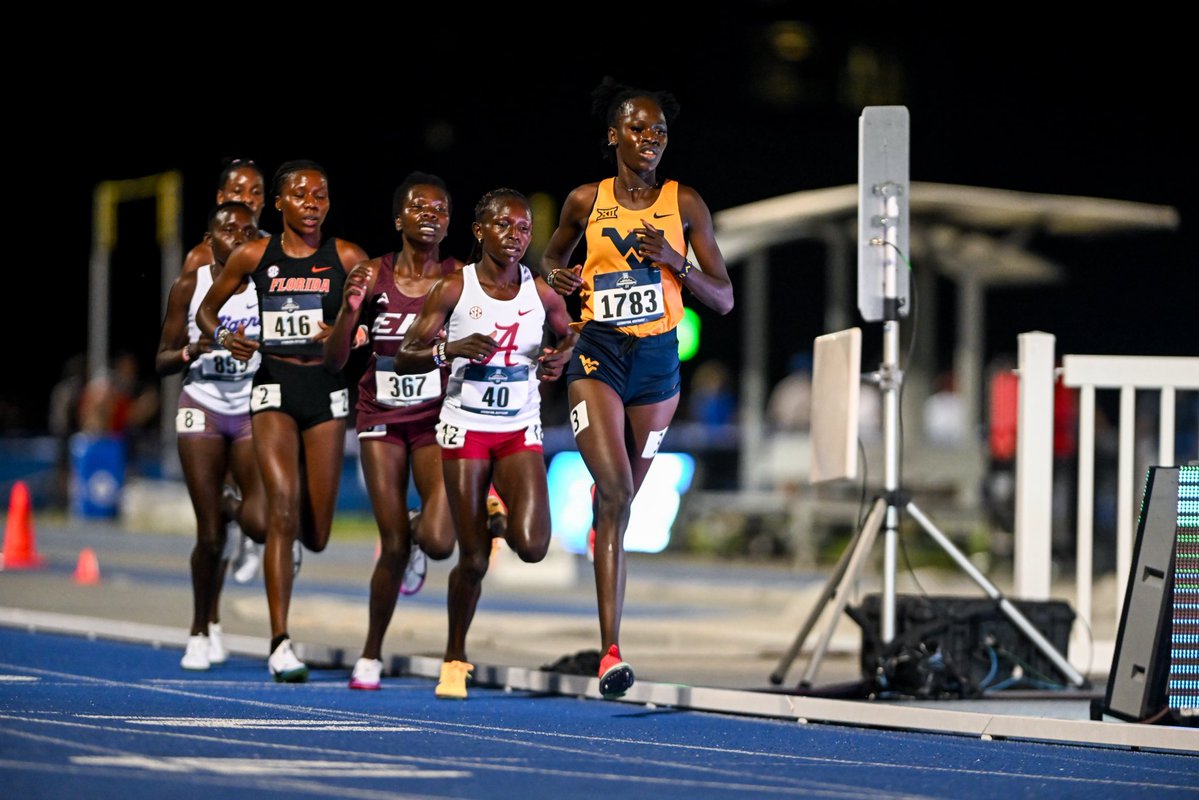 WVU Cross Country/Track & Field tweet media