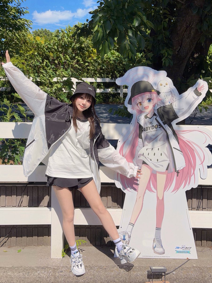めでぃ tweet media