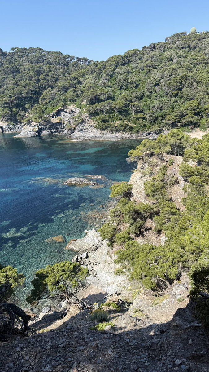 ifoundyou____'s tweet photo. en vrai c’est cheat de vivre dans le sud🫦 https://t.co/3mO0csz8Rv