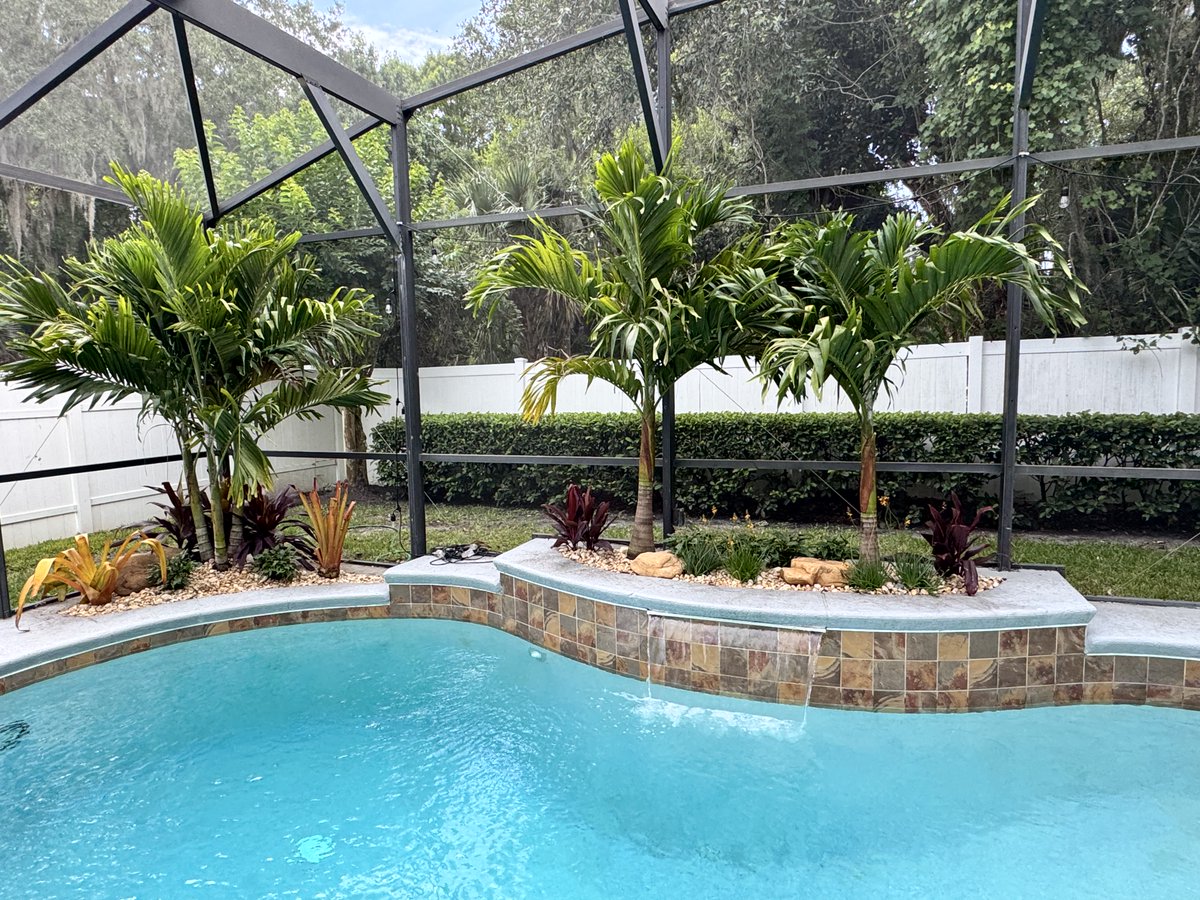 DoyleLand407's tweet photo. Invest in your home to save money on pricey vacations this year ! Call Doyle Land Systems today and we can build your vacation destination in your very own backyard !🌴🌺🇺🇸🇺🇸🇺🇸
https://t.co/AThejGkav9 #landscapedesign #poolscape #rockscape #palms https://t.co/zHYcWYyMDe