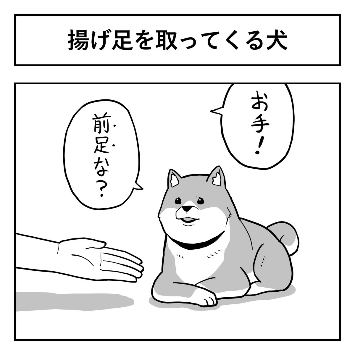 わしん/お仕事募集中 tweet media