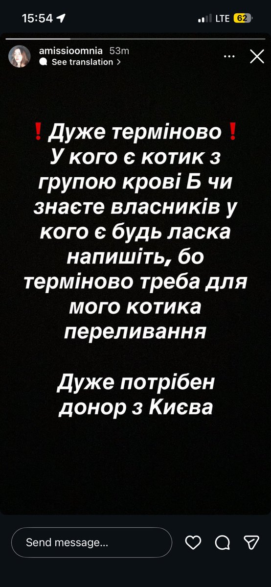 Kombucha💎 tweet media