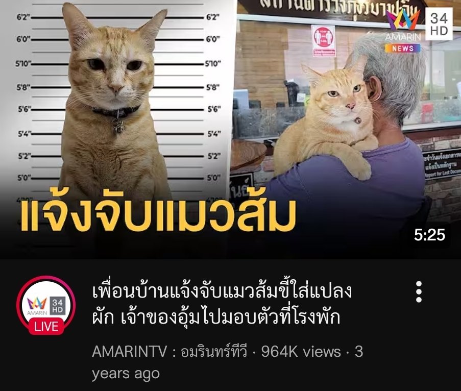 Thida7A ~♡ (ตั้งใจทำงานing) tweet media