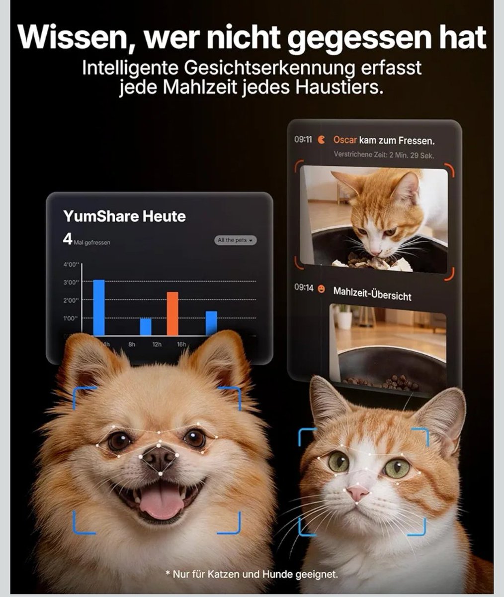 _moinkatze_'s tweet photo. Ich verkaufe noch immer meinen neuen und Originalverpackten Futterautomaten! 
Benötige ein neues Smartphone 🙄
Ist also eher dringend! 
Bitte teilen! https://t.co/q4TjBjtZ0F