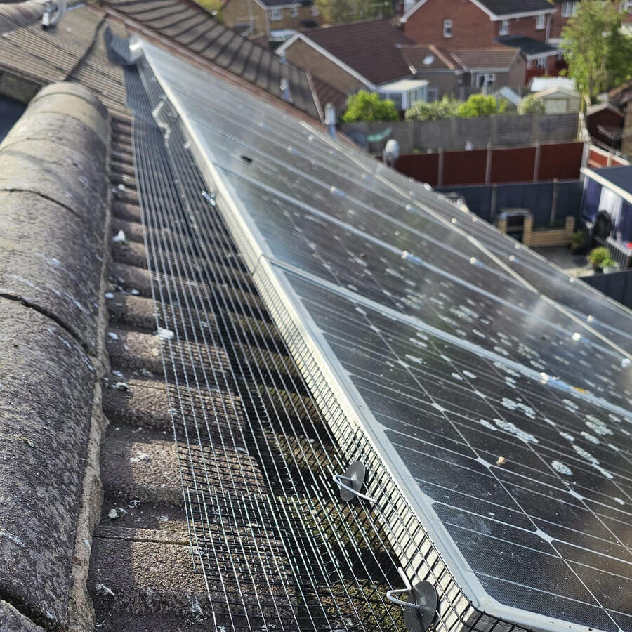 ExpelBird's tweet photo. Pigeon Proofing Solar Panels in Leicester. Recent hot weather brought things to a head with pigeons frantically trying to set up nests under these solar panels #BirdProofing #Leicester https://t.co/z1lxH0kA27 https://t.co/nfavYyToaI