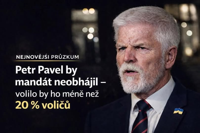 Ferda Srohy tweet media