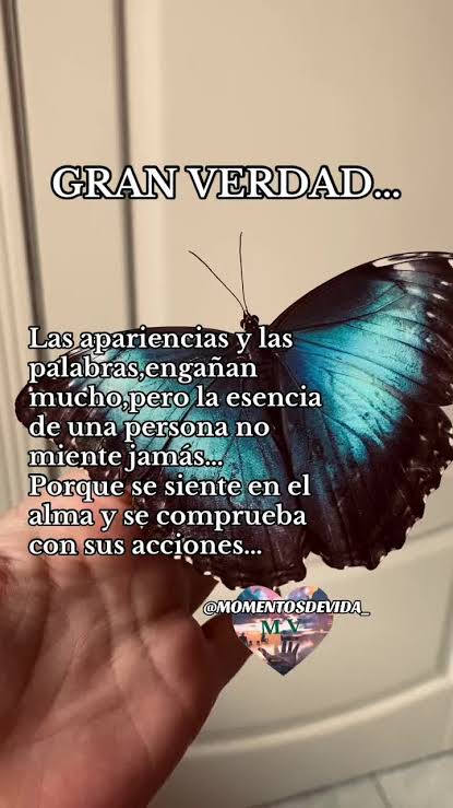 elviraaesther's tweet photo. @sternschnuppenz Cada dispositivo conectado es una puerta potencial. Ciérralas con seguridad para mantener tu espacio libre de amenazas.
Extraordinario día hermosa 🤗😊🌻🌻 https://t.co/nERpo4qSJd