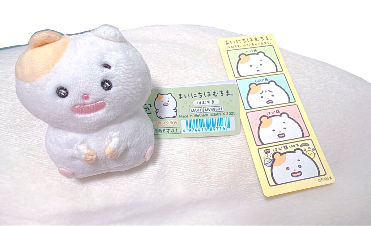 町田ちま🐹まちたちま tweet media