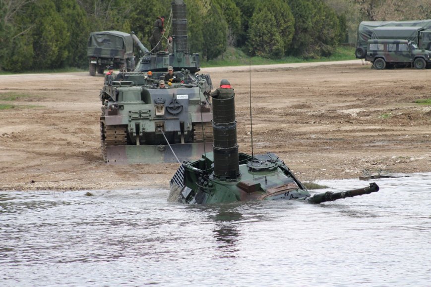 K9v1_06 tweet media