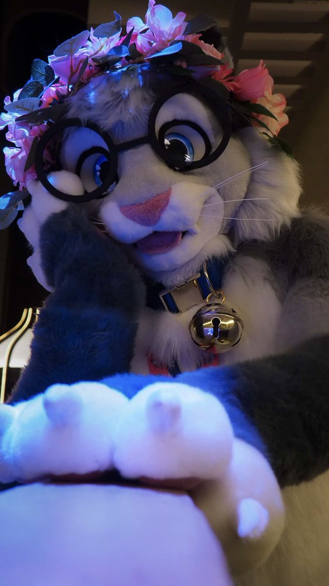 NixuKitty's tweet photo. 🐾 💐 💞 It’s #FursuitFriday and this kitty has been giving you eyes all night! What’s your move~?

🪡: @WildDogWorks 
📸: @JasperWulf https://t.co/Wx1Y7jslZ4