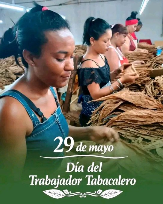 CirculoTierno's tweet photo. En  el Día del Trabajador Tabacalero felicitamos a quienes laboran en un  sector decisivo para la economía, siempre buscando alternativas y  soluciones para producir más y con superior calidad. https://t.co/FxqJLlkTOk