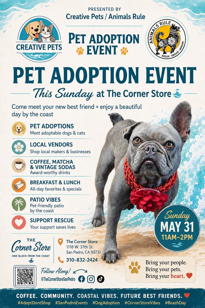 animalsruleorg's tweet photo. Our amazing friends at The Corner Store in San Pedro are hosting us for a Pet Adoption Event this Sunday, May 31st, from 11 AM to 2 PM! Bring a friend, bring your pets, and enjoy a beautiful day by the coast with adoptable animals, local vendors, and great food and drinks. Can't make it? Please share this post to help our rescues find their forever homes, or visit our website to view all our available dogs ahead of time!