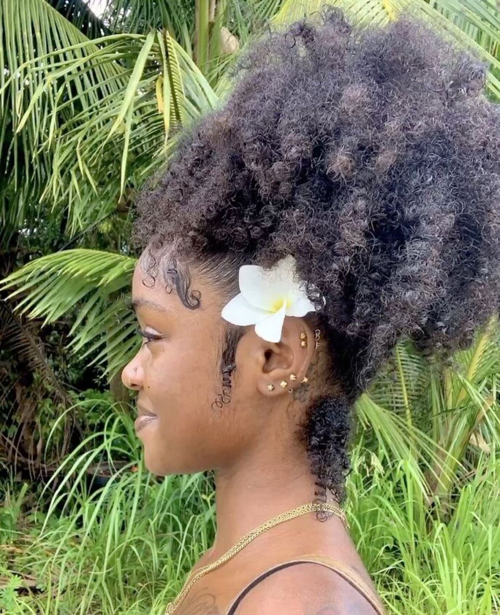 lionessenced's tweet photo. natural hair summer 🎀🌸 https://t.co/JyDmnOOOpL