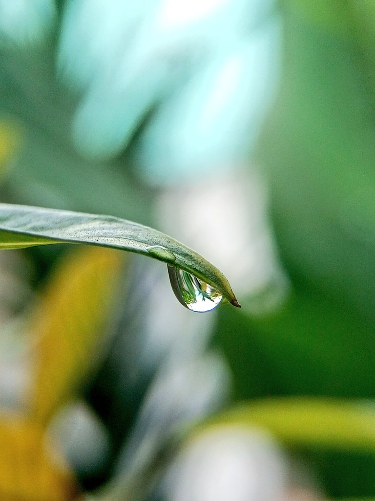 w1ndyra1n's tweet photo. Apa yang kita lihat tidak selalu mewakili hal sebenarnya..kadang ada yang terlihat terbalik.
Rehat dulu, happy weekend .
🍃 https://t.co/McAmie7WyP