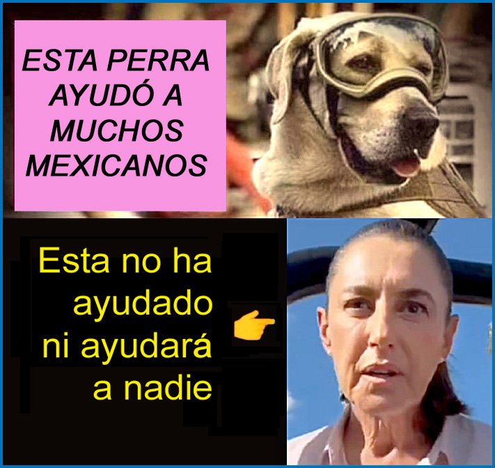 Selene tweet media